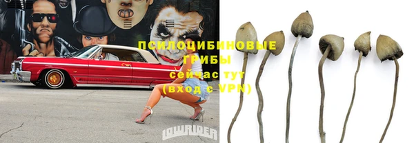 COCAINE Няндома