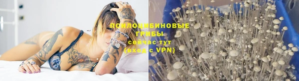 COCAINE Няндома