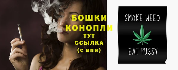 COCAINE Няндома