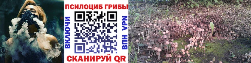 Галлюциногенные грибы Psilocybe  дарнет шоп  kraken онион  Калач-на-Дону 