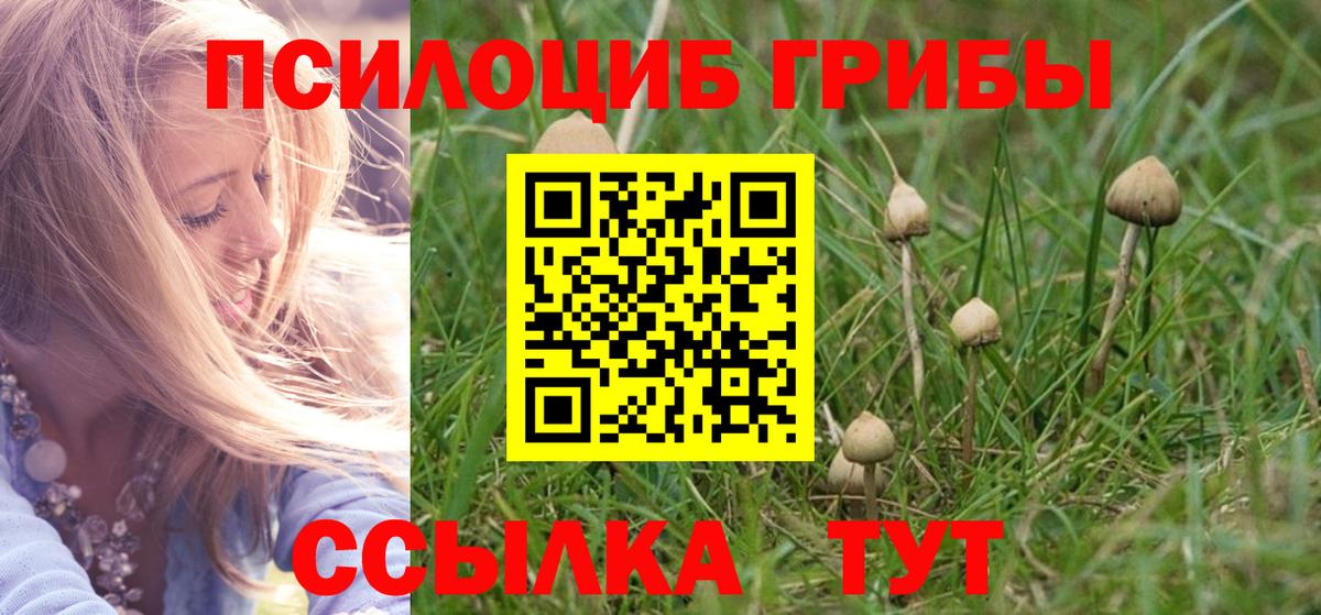 Псилоцибиновые грибы мухоморы Калач-на-Дону