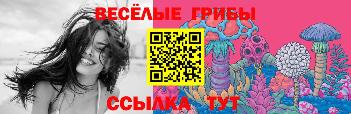 Галлюциногенные грибы GOLDEN TEACHER  Галлюциногенные грибы прущие грибы  Вход с VPN  Калач-на-Дону 