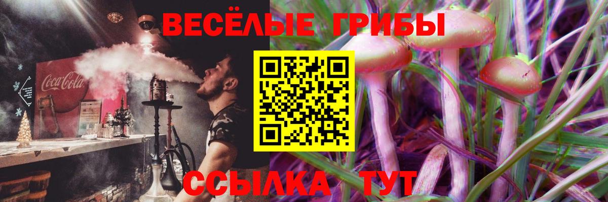 Псилоцибиновые грибы мицелий  Калач-на-Дону 